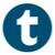 Translator logo