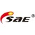 Foshan Sunway Auto Electrical Co Ltd logo
