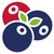 Berry Packing Services B.V. logo