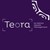 Teora by Natixis Wealth Management logo