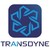 TransDyne IT Services logo