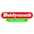 Shree Baidyanath Ayurvedic Pvt. Ltd. logo