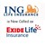 ING Vysya Life Insurance logo