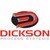 Dickson Process Systems, LLC. logo