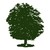 Lazy Maple Creations logo