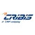 CRIBIS logo