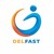 Delfast Services Inc logo