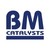 BM Catalysts Ltd. logo