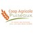 SCA de Puiseaux logo
