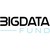 BigData Fund logo