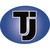 Transjudipal logo