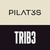 TRIB3 & PILAT3S SPAIN logo