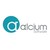 Alcium Software / Evolutive CRM logo