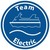 Team Electric Group logo
