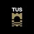 Technological University of the Shannon, Athlone Campus logo