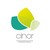 La CINOR logo