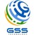 GLOBAL SMART SOLUTION TECHNOLOGY LTDA logo