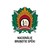Nacionālie bruņotie spēki | Latvian National Armed Forces logo