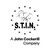 STIN logo