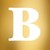 BOLLOCKSKI logo