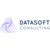 Datasoft consulting logo