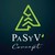 Pasyv Concept logo