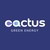 Cactus Green Energy - Renewable H2 & NH3. logo