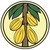Quality Control Company Limited (COCOBOD) logo
