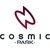 Cosmic Park 54 logo