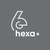 Hexa Group logo