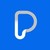 Payine logo
