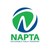NAPTA logo
