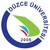 Düzce University logo
