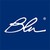 Blu Service logo