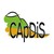 Capdis logo