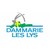 Ville de Dammarie-lès-Lys logo