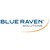 Blue Raven Solutions logo