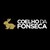 Coelho da Fonseca logo