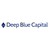 Deep Blue Capital B.V. logo