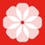 Studio Camelia logo
