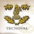 Tecnoval logo