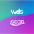 WDS logo