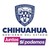 Gobierno del Estado de Chihuahua logo