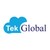 Tek Global logo