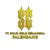 PT. Solid Gold Berjangka Palembang logo