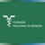 Fundação Faculdade de Medicina logo