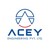 ACEY Engineering Pvt Ltd logo