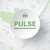 PULSE Project (Punjab Urban Land Systems Enhancement) logo