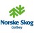 NORSKE SKOG GOLBEY logo