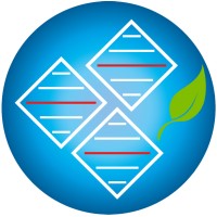 DPMR logo
